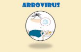 ARBOVIRUS - unife.it .mosche, zanzare e zecche. Gli arbovirus possono essere trasmessi VERTICALMENTE
