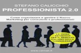 Stefano Calicchio - calmail.it · L’analisi SWOT del professionista ... per trovare prospect interessati alla propria attività consulenziale. Si pensi solo all’opportunità offerta