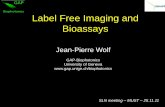 Label Free Imaging and Bioassays - Home | Swissphotonics ... · Label Free Imaging and Bioassays Jean-Pierre Wolf ... M. Petrarca Biologist ... Slide 1 Author: bonati Created Date: