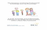 The Dynamics of Sharing Professional Knowledge and Lay ...doras.dcu.ie/17629/1/The_Dynamics_of_Sharing_Professional... · The Dynamics of Sharing Professional Knowledge and Lay Knowledge: