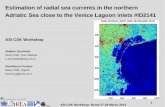 Estimation of radial sea currents in the northern Adriatic Sea … · Estimation of radial sea currents in the northern Adriatic Sea close to the Venice Lagoon inlets #ID2141 ASI