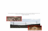 Proposta de estudo de impacto ambiental substituta do Parque … · environmental impact assessment of the s. vicente wind farm on the tarentola caboverdiana substituta gecko –