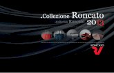 Collezione Roncato Collection Roncato 2013 - velars.ru · Roncato Light is a upright in Polypropylene, which stands out for its lightness and eco-compatibility. Materials that are