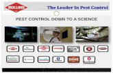 PEST CONTROL DOWN TO A SCIENCE - rollins.com/media/Files/R/Rollins/reports-and... · The Rat Man” sold poison door-to-door Orkin treated military establishments for pest control