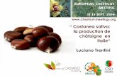 Castanea sativa: la production de chàtaigne en Italie ... · préambule: “ La coltura del castagno, in ITALIA presenta le caratteristiche di una produzione tipica di pregio con