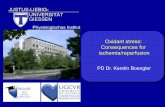 Oxidant stress: Consequences for ischemia/reperfusion · Oxidant stress: Consequences for . ischemia/reperfusion. ROS. ROS. ... ROS. CypD CypD. ox ox. Cx43. Giorgio et al., ... Fabio
