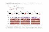 media.nature.com · Web viewtransplantation in peripheral blood (P < 0.05). (f) Spleen weight of recipients of WT (n = 11) or Ptpn11 fl/fl (n = 13) donor cells (P < 0.01). (g) Histology