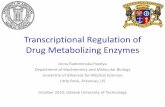 Transcriptional Regulation of UDP-glucuronosyltransferase ... · Transcriptional Regulation of Drug Metabolizing Enzymes Anna Radominska-Pandya Department of Biochemistry and Molecular