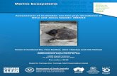 Assessment of Australian sea lion pup abundance at Olive ... · Assessment of Australian sea lion pup abundance at ... the Australian Fisheries Management Authority ... (5 black,