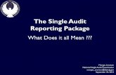 The Single Audit Reporting Package · The Single Audit Reporting Package What Does it all Mean ??? Morgan Aronson National Single Audit Coordinator morgan_aronson@doioig.gov September