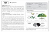 Biomass Biomass at a Glance, 2016 - need.org · 12 ©2018 The NEED Project Secondary Energy Infobook What Is Ethanol? Ethanol is an alcohol fuel (ethyl alcohol) made by fermenting