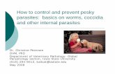 How to control and prevent pesky parasites - Conviopschar.pub30.convio.net/resources/resources-documents/parasites... · How to control and prevent pesky parasites: basics on worms,