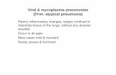 Viral & mycoplasma pneumonias (Prim. atypical pneumonia) lectures/Pathology/L 7.pdf · of P. carinii demonstrable in the frothy fluid. • iv) No significant inflammatory exudate