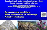 Environmental conditions Plant communities on inselbergs ... · Tropical rock outcrops (inselbergs): their importance as habitat islands Stefan Porembski, University of Rostock, ...