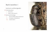 Bark beetles I - frst307.sites.olt.ubc.cafrst307.sites.olt.ubc.ca/files/2017/10/Lecture-12-Bark-beetles-1.pdf · bark beetle species Kairomone used by predators and parasites to locate