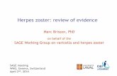 Herpes zoster: review of evidence - who.int · Herpes zoster Definition • Herpes Zoster: reactivation of varicella zoster virus (VZV), leading to blisters in a dermatomal distribution