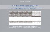 THE ERLANGEN SALIVARY GLAND PROJECT - KARL STORZ · THE ERLANGEN SALIVARY GLAND PROJECT Part I: Sialendoscopy in Obstructive Diseases of the Major Salivary Glands Prof. Heinrich IRO,