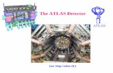 The ATLAS Detector - Nevis Laboratoriesparsons/ATLASdetector.pdf · The ATLAS Liquid Argon Electromagnetic Calorimeter 47 cm readout electrode absorber P lead glue kapton outer copper