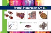 Primal Pictures on Ovid  .®Wolters Kluwer Ovid Health Primal Pictures on Ovid SP