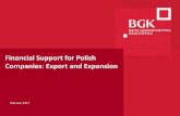 Financial Support for Polish Companies: Export and Expansion · 204/204/204 218/32/56 118/126/132 183/32/51 227/30/54 Financial Support for Polish Companies: Export and Expansion