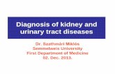 Diagnosis of kidney and urinary tract diseases - SE ÁOK I ... · Diagnosis of kidney and urinary tract diseases Dr. Szathmári Miklós Semmelweis University First Department of Medicine