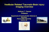 Vestibular Related Traumatic-Brain Injury: Imaging Overview · Vestibular Related Traumatic-Brain Injury: Imaging Overview . Anthony T. Cacace . Professor . Department of Communication