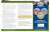Information on Supply Issues - GOV.UK · Leaflet - Availability Feb13.indd 1-3 20/02/2013 15:34. Veterinary Medicines with a Marketing Authorisation in the UK Veterinary medicines