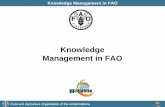 Knowledge Management in FAO · Food and Agriculture Organization of the United Nations. Knowledge Management in FAO Staff – primary asset in tacit knowledge. Knowledge networks