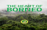 THE HEART OF BORNEO - d2ouvy59p0dg6k.cloudfront.netd2ouvy59p0dg6k.cloudfront.net/downloads/the_heart_of_borneo_a... · Katingan 530,489.83 ... to Dayak tribes. There are of course