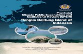 FISCAL POLICY AGENCY MINISTRY OF FINANCE Provincial ... UNDP... · Provincial Climate Public Expenditure and Institutional Review (CPEIR) Bangka Belitung Island of Indonesia Center