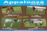 The newsletter for the Appaloosa Horse Association of New ...appaloosaassn.co.nz/wp-content/uploads/2017/01/Appaloosa-news-Dec... · mutch@satlan.com Ron Davis – Administration