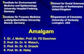 Amalgam - Zero Mercury Working Group , released by amalgam Most toxic non-radioactive element, - 10-fold more toxic than lead (Pb) or even more toxic than Methyl-Hg found in fish (already