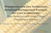 Phosphorus and Zinc Fertilization Beneficial Management ... pdf... · Soils and Crops 2017 SK Flaten & Rogalsky: Preliminary Results Magda Rogalsky*, Don Flaten, Yvonne ... DKC 26-28RIB