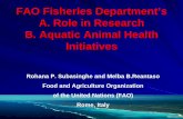 FAO Fisheries Department’s A. Role in Research B. Aquatic ... · B. Aquatic Animal Health Initiatives ... – SEAFDEC: Chemical use in Asian aquaculture ... Grouper Health Newsletter