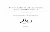 Metabolism of calcium and phosphorus - Univerzita Karlovache1.lf1.cuni.cz/html/12_Bone_theory.pdf · Metabolism of bones is tightly coupled to metabolism of calcium and phosphorus.