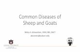 Common Diseases of Sheep and Goats - c.ymcdn.com · • Urolithiasis • Pregnancy Toxemia ... Thiamine phosphate serves as a cofactor for transketolase, the rate limiting enzy對me