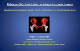 Pelvis and hip joints: from anatomy to sports trauma filePelvis and hip joints: from anatomy to sports trauma Sports Medicine Program, Sackler Faculty of Medicine, Tel-Aviv University,