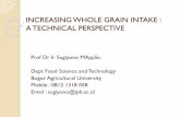INCREASING WHOLE GRAIN INTAKE - gizi.fema.ipb.ac.idgizi.fema.ipb.ac.id/.../10/Increasing-Whole-Grain-Intake-Sugiyono.pdf · Introduction Whole grain is generally defined as the intact,