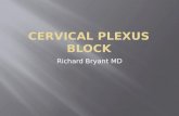 Superficial Cervical Plexus Block - OSU Center for ... - Cervical Plexus Block... · PPT file · Web viewSuperficial Cervical Plexus Block. Position: supine/sitting. Landmarks: sternocleidomastoid