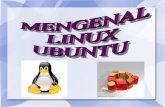 Open Source Software - saibanikurniajati.files.wordpress.com fileenergi. LXDE merupakan desktop environment standar Lubuntu. Jenis – Jenis Distro Linux ... Cari macam-macam distro