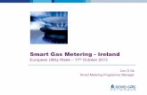 Smart Gas Metering - Ireland - Engerati.comSe... · All G4 gas meters – 620,000 – of which 12% are PPM ! Non-interval electricity meters – 2,200,000 ! Gas will leverage the