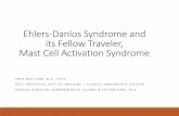 EDS and Its Fellow Traveler, Mast Cell Activation Syndrome · Dr. Ehlers and Dr. Danlos described a distinct order including lax joints, hyper-extensible, skin and bruising ... 3