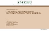 The Role of Social Protection Programs in Reducing the ... · The Role of Social Protection Programs in Reducing the Impact of the Global Financial ... The Role of Social Protection