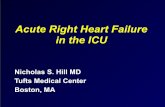 Acute Right Heart Failure in the ICU - Critical Care Canadacriticalcarecanada.com/.../acute_right_heart_failure_in_the_icu.pdf · Acute Right Heart Syndrome Increase in RV afterload