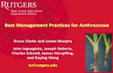 Best Management Practices for Anthracnose - Rutgers University · Best Management Practices for Anthracnose ... autumn granular-N •Late-season N is not an ... KNO3 (1:1) First year