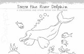 Susu the River Dolphin A COLOURING AND STORY BOOK …d2ouvy59p0dg6k.cloudfront.net/downloads/susu_the_river_dolphin_12... · The Whale and Dolphin Conservation Society (WDCS) is the