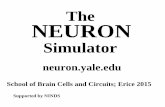 The NEURON//neuron.yale.edu/ftp/neuron/neuron−erice2015.pdf Using: Building Running Analysing Where does it fit in the overall modeling process? What kind of models? Methods. How