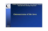Osteosarcoma of the Jaws - UCLouvain · Osteosarcoma of the jaws: A 30-year retrospective review. Oral Surg Oral Med Oral Pathol Oral Radiol Endod 2000; 90 : 323-333. ... osteosarcoma