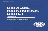 BRAZIL BUSINESS BRIEF - Brazilian Chamber of Commerce for ... · a loss. an announcement in october ... Brazil BusiNess Brief jaNuary 2014 Volume 16 NumBer 47 ARtIcLES ... or in what