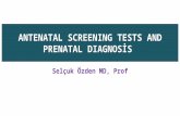 [PPT]PRENATAL TANI - WordPress.com · Web viewInvasiveproceduresused in prenatal diagnosis: Amniocentesis, Chorionic villus sampling, and Fetal blood sampling Preimplantation genetic